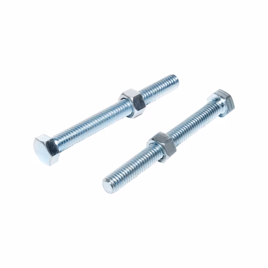 DIN912 DIN933 Ta2 Titanium Bolts Nuts in Fasteners Stainless Steel Bolt