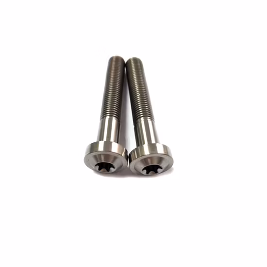 Ti Gr5 Titanium Torx Screw Bolts for Motorcycle Brake Disc